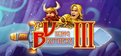 Viking Brothers 3 (PC)